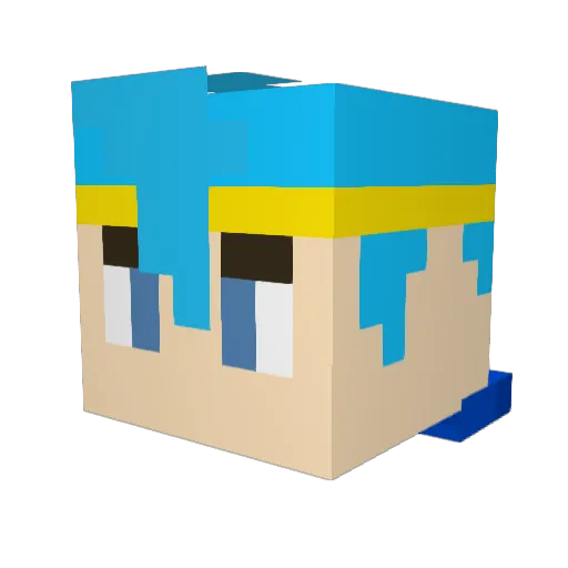 knightterr0r Minecraft avatar head, 3D render