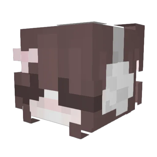 knjnamu94 Minecraft avatar head, 3D render