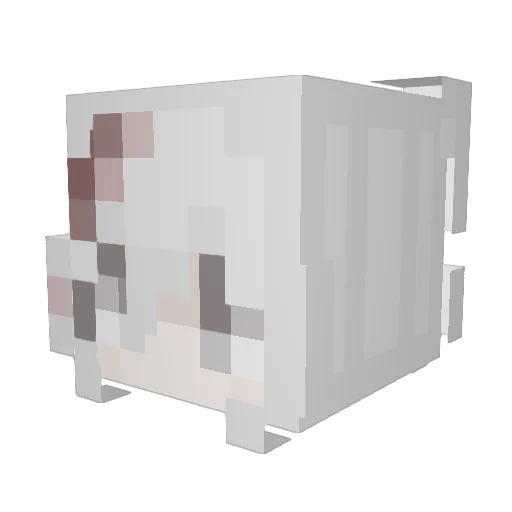 knnzes Minecraft avatar head, 3D render