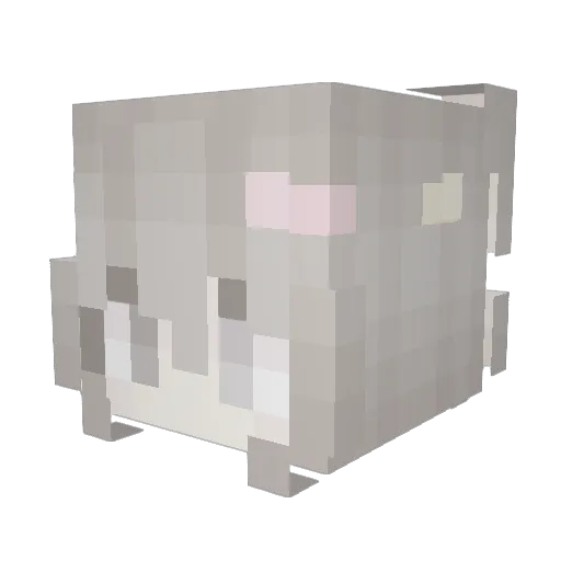 knopusik15 Minecraft avatar head, 3D render