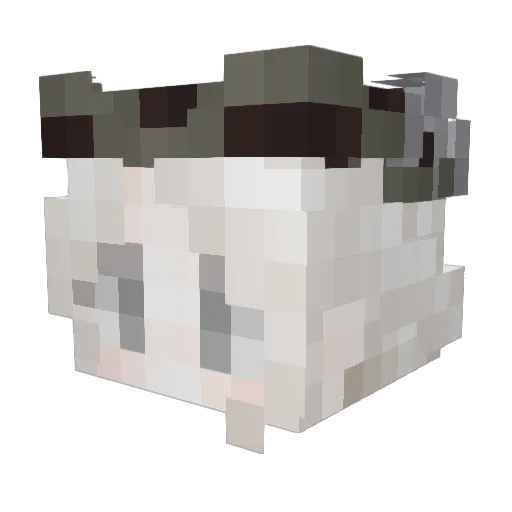 knownwaves Minecraft avatar head, 3D render