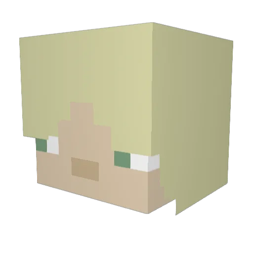 knut055 Minecraft avatar head, 3D render