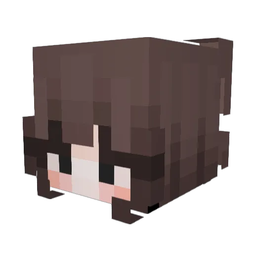 knux4748 Minecraft avatar head, 3D render