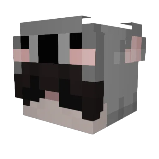 koahhla Minecraft avatar head, 3D render