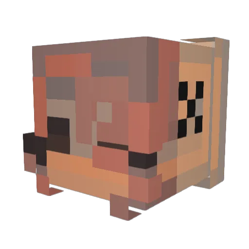 koaisdumb Minecraft avatar head, 3D render