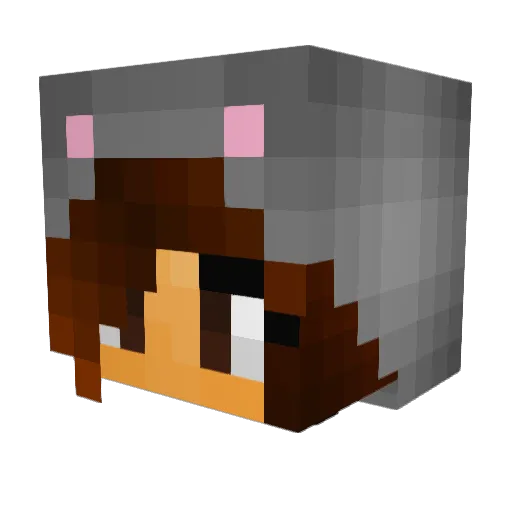 koalaClawz Minecraft avatar head, 3D render