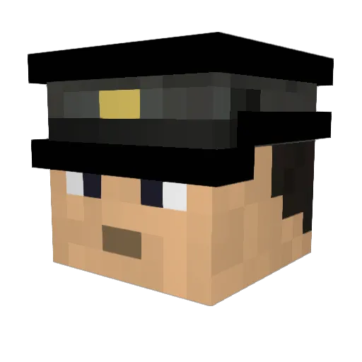 koala_UwU_ Minecraft avatar head, 3D render