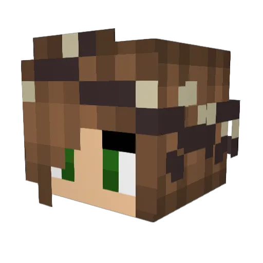 koalabear13 Minecraft avatar head, 3D render