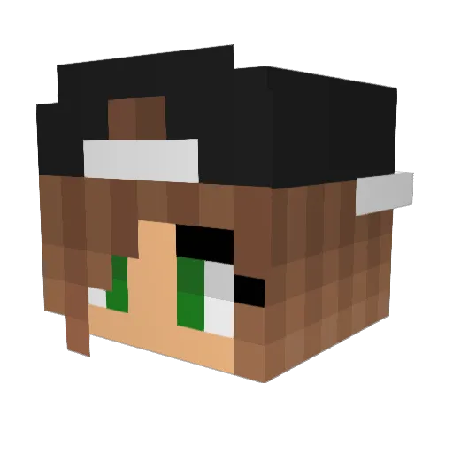 koalabeerchen Minecraft avatar head, 3D render