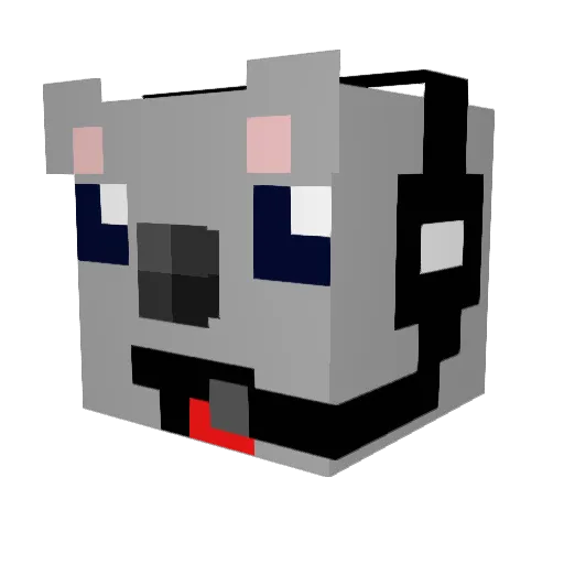 koalacraft290 Minecraft avatar head, 3D render