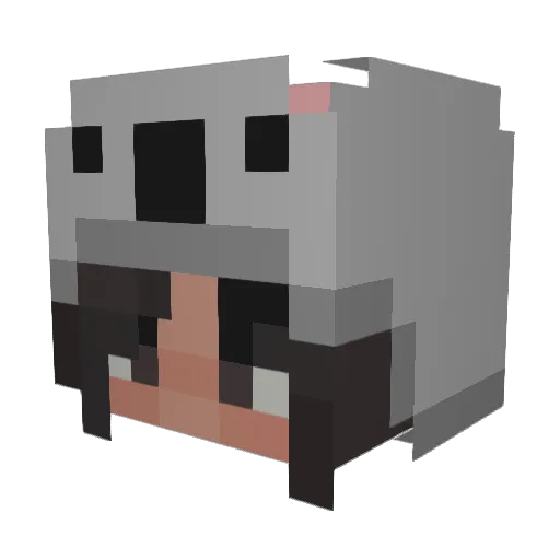 koalamingo Minecraft avatar head, 3D render