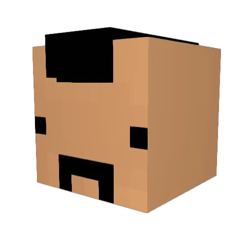 koalasz Minecraft avatar head, 3D render