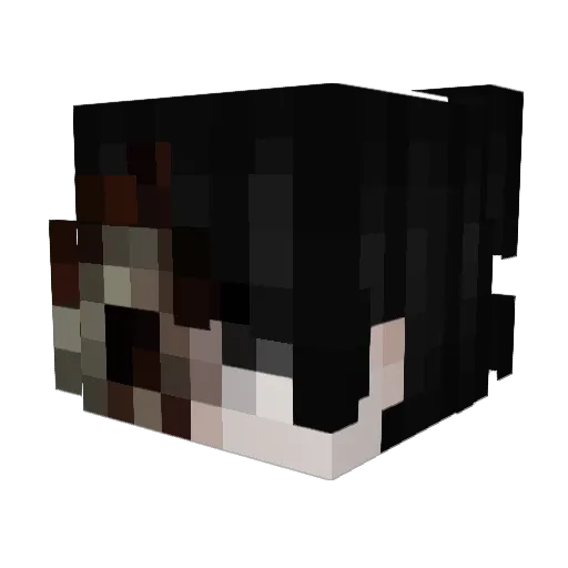 kobyxz Minecraft avatar head, 3D render