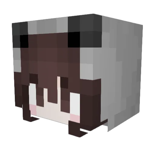 kocham_deszcz Minecraft avatar head, 3D render