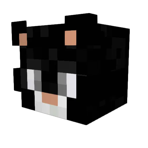 kochare Minecraft avatar head, 3D render