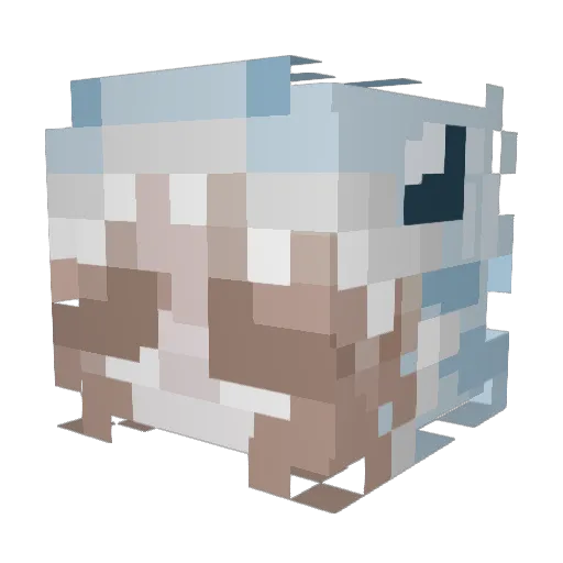 kochili Minecraft avatar head, 3D render