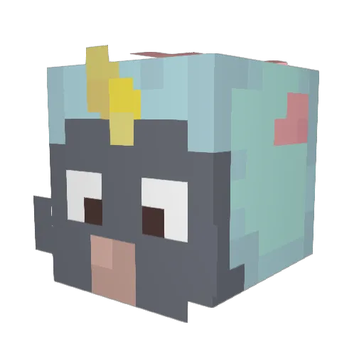 kociak_patryk123 Minecraft avatar head, 3D render