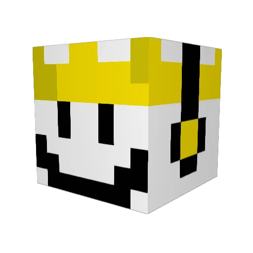 kod_conn Minecraft avatar head, 3D render
