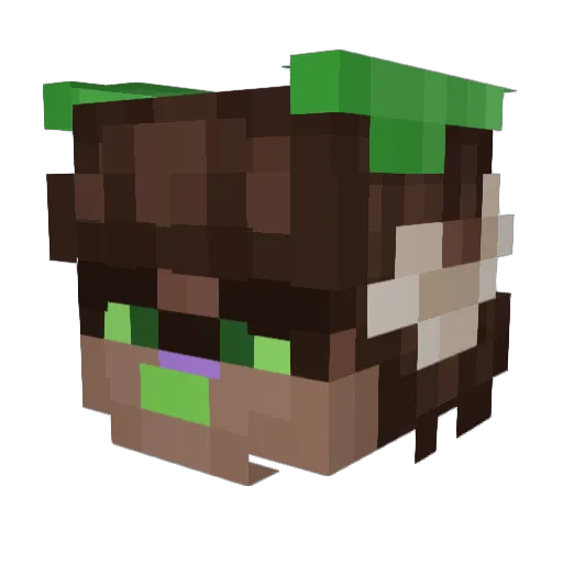 koda_curvata Minecraft avatar head, 3D render