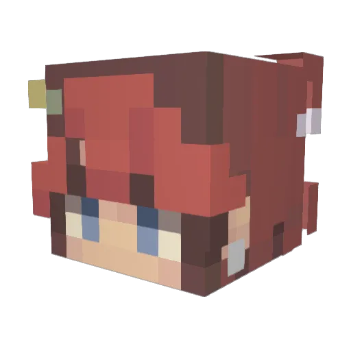 koda_is_strange Minecraft avatar head, 3D render