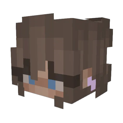 koekje323 Minecraft avatar head, 3D render