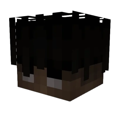 kofe Minecraft avatar head, 3D render