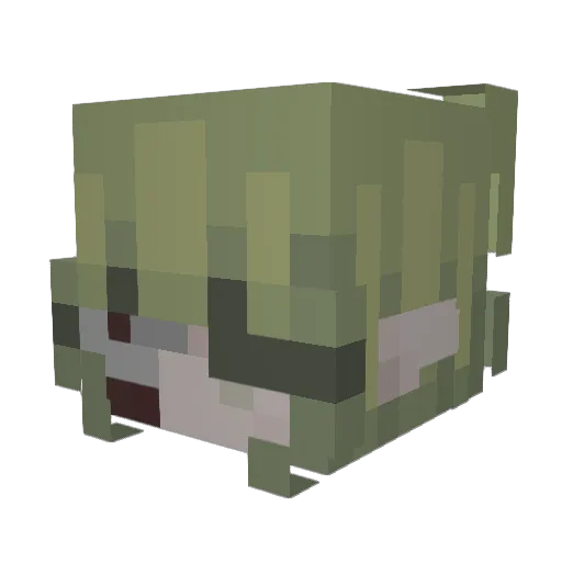 kofen Minecraft avatar head, 3D render