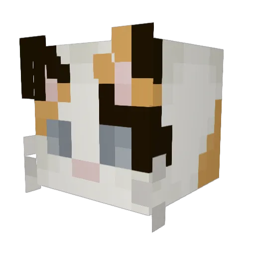 koi_mp4 Minecraft avatar head, 3D render