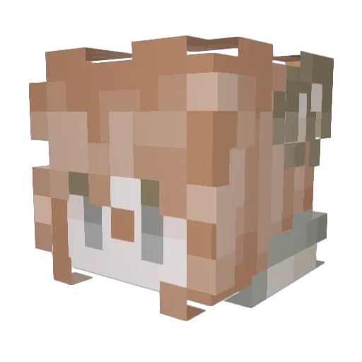 koifizz Minecraft avatar head, 3D render