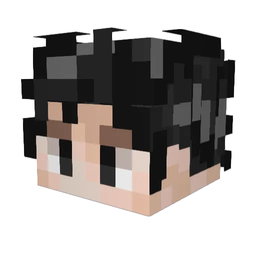 koilafffffffff Minecraft avatar head, 3D render