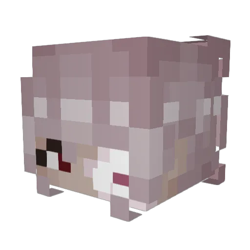 koimei Minecraft avatar head, 3D render