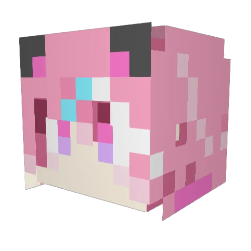 koisuzusalmon Minecraft avatar head, 3D render