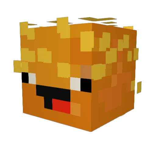 kojmisgood Minecraft avatar head, 3D render