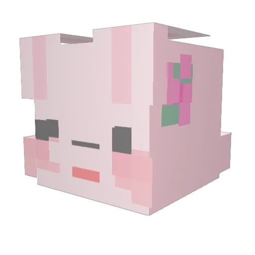 kokainmilieu Minecraft avatar head, 3D render