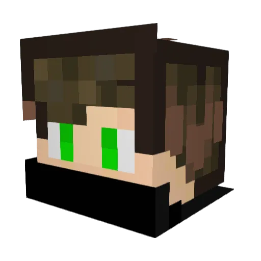kokako1350 Minecraft avatar head, 3D render