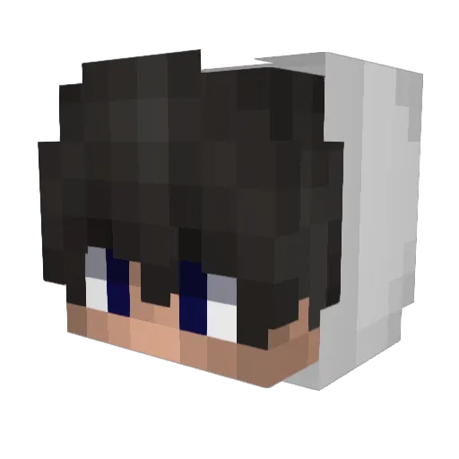 kokical Minecraft avatar head, 3D render