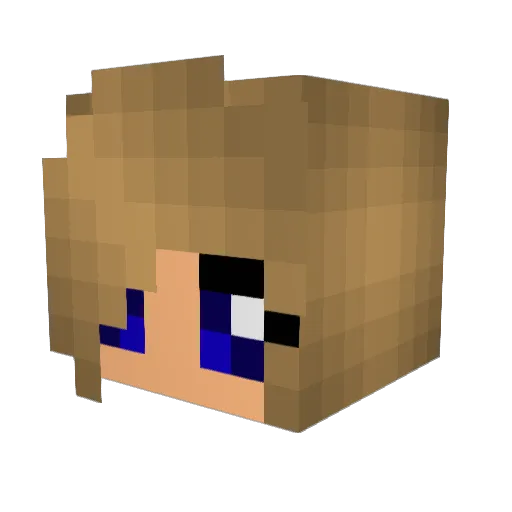 kokoa0102 Minecraft avatar head, 3D render