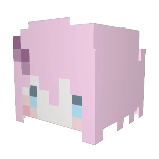 kokoah Minecraft avatar head, 3D render