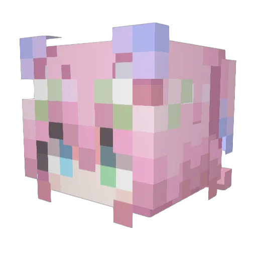 kokoerer Minecraft avatar head, 3D render