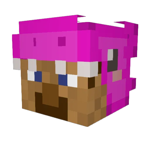 kokoiine Minecraft avatar head, 3D render