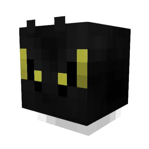 kokolka55 Minecraft avatar head, 3D render