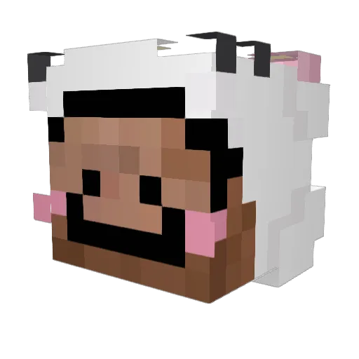 kokolo_1 Minecraft avatar head, 3D render