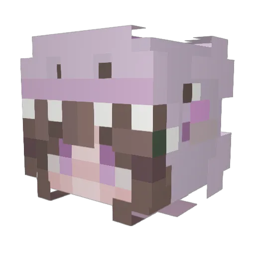 kokoneco Minecraft avatar head, 3D render