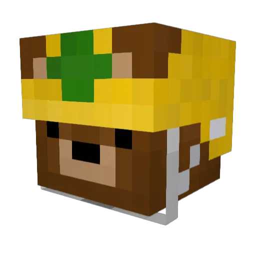 kokooo0827 Minecraft avatar head, 3D render
