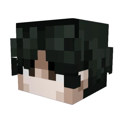 kokospa Minecraft avatar head, 3D render