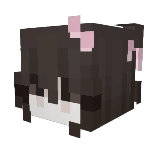 kokosrieksts Minecraft avatar head, 3D render