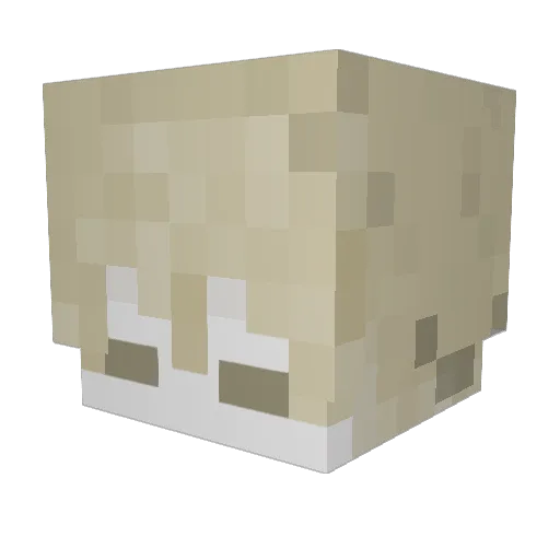 kokoz___ Minecraft avatar head, 3D render
