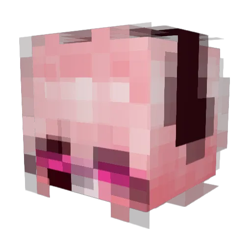 kokusnuss08 Minecraft avatar head, 3D render