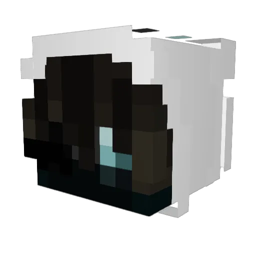 kolesooo Minecraft avatar head, 3D render