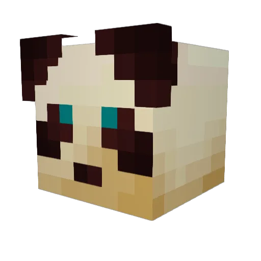 kolinton Minecraft avatar head, 3D render